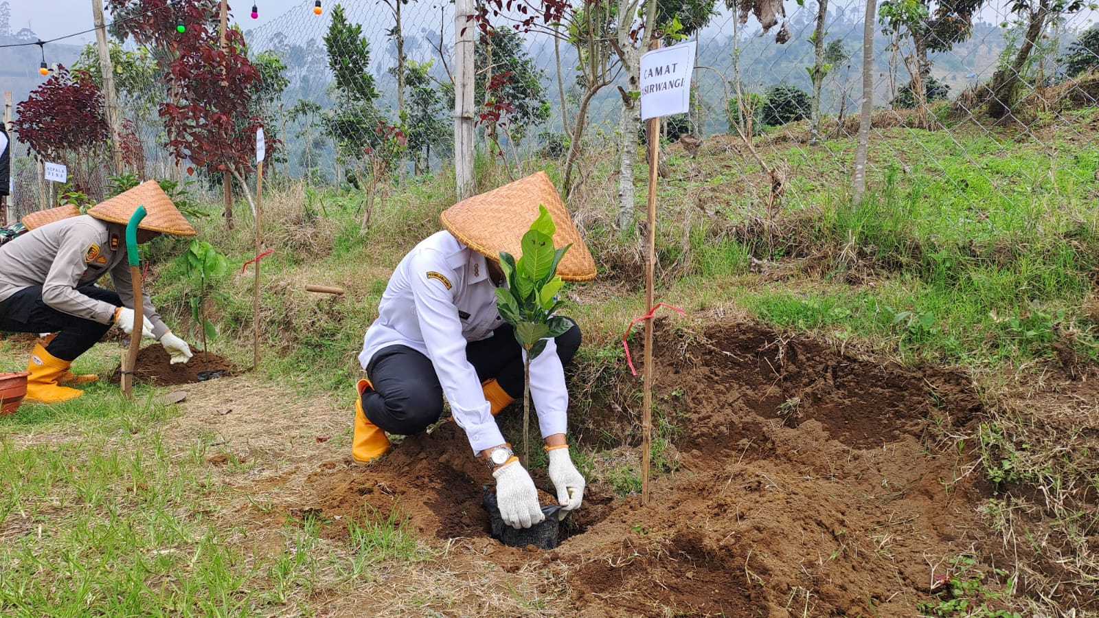 Embung Padaawas Garut Jadi Lokasi Tanam 1000 Pohon di Hari Bumi 2026